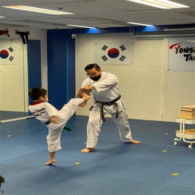 Paulownia Breaking Board